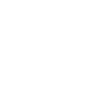 Cisco Networking logo